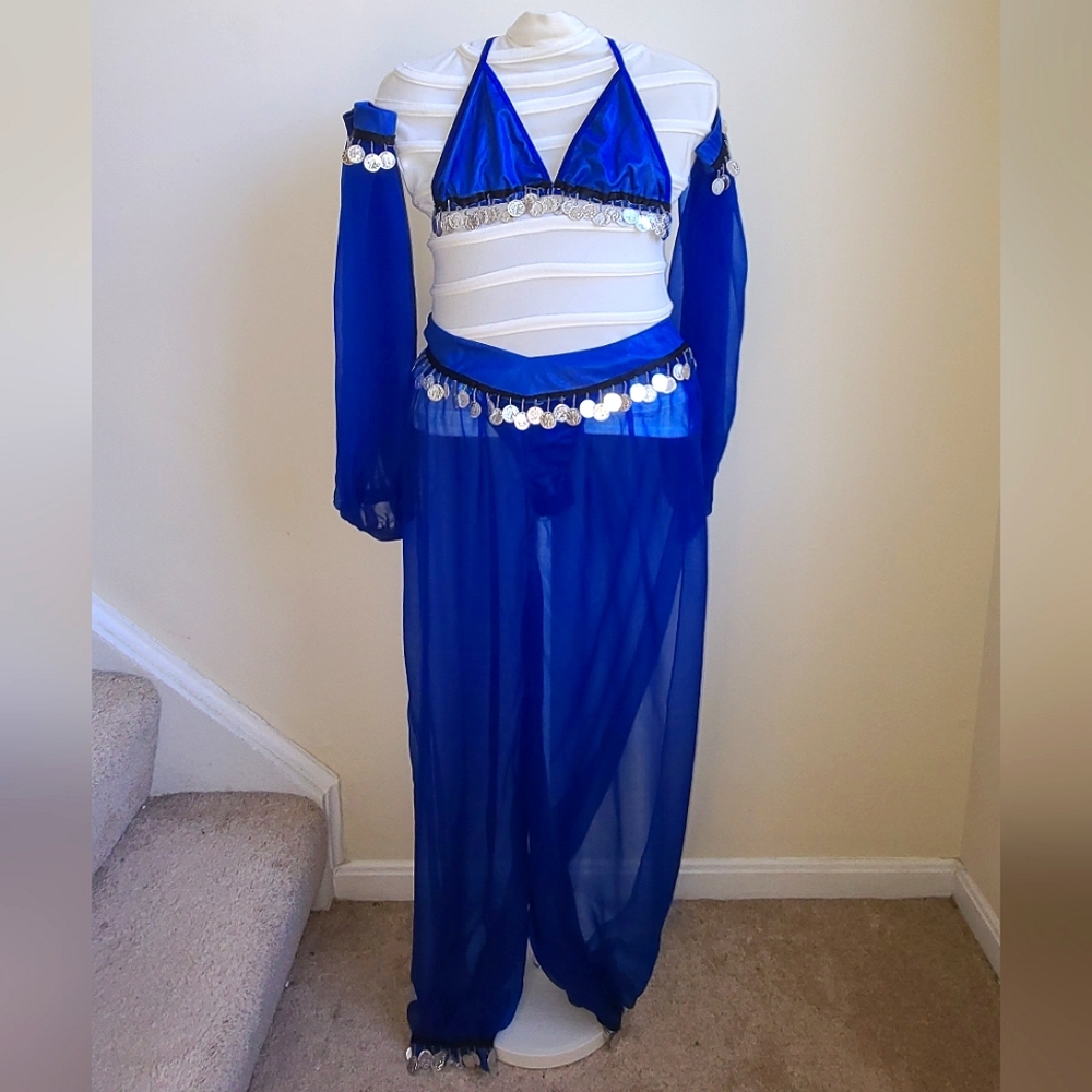 6 Piece Jeanie / Bellydancer Costume NWOT